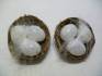 více - Dekorace hnízdo s bílými křepelčími vajíčky  pr.5cm  2ks