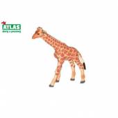 více - Žirafa mládě  9cm  - sběratelský model