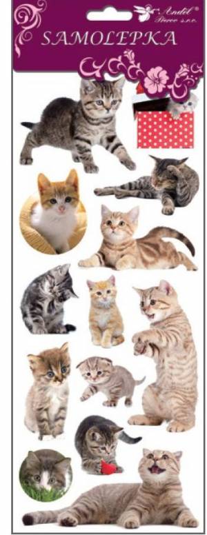 zvětšit obrázek - Samolepky kočky