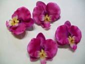 více - Květ orchidej  růžovo-fialová  8,5cm
