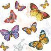 více - Ubrousky  3vrstvé - bílé s barevnými motýlky      20ks