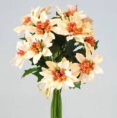 více - Poinsettia kytice 11 květů, dl. 18cm  - lososovo-bílá