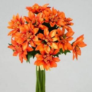zvětšit obrázek - Poinsettia kytice 11 květů, dl. 18cm  - oranžové