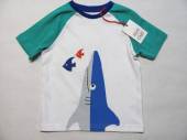 více - Tričko bílo-zelené se žralokem  18-24m  